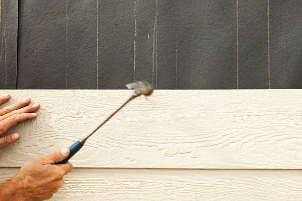 Best Insulated Siding Installation  in Owensboro, KY